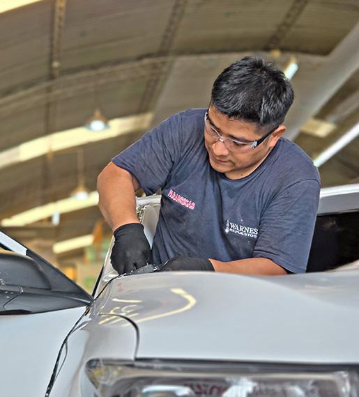 Parabrisas y cristales